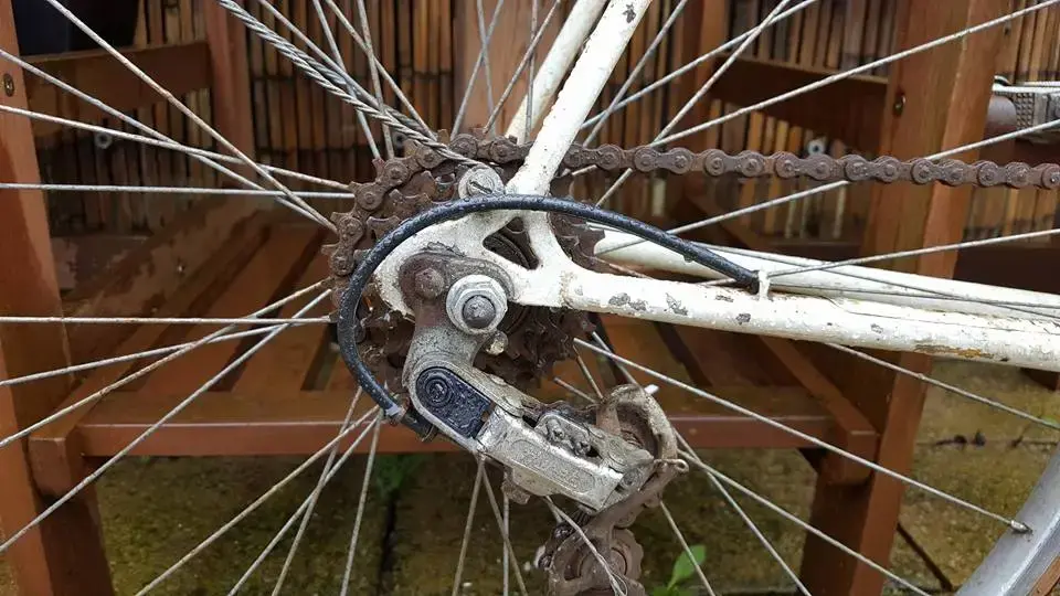 white racing bike rear drop out.webp