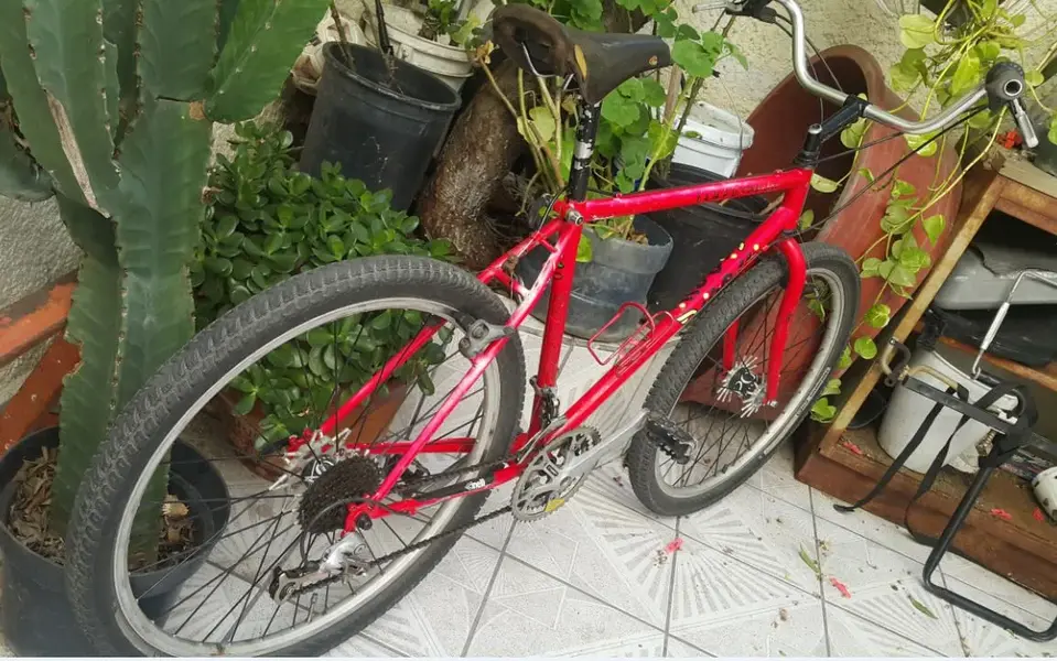 Cinelli 7.webp