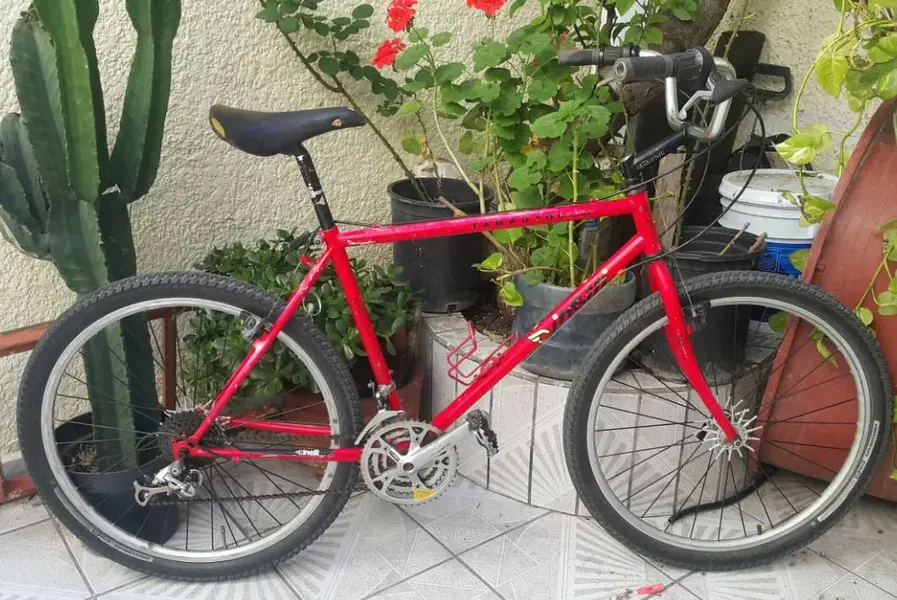 Cinelli 6.webp