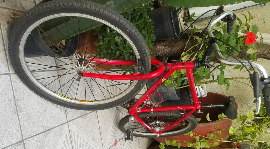 Cinelli 2.webp