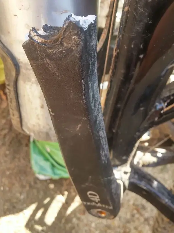 Torn to shreds.webp