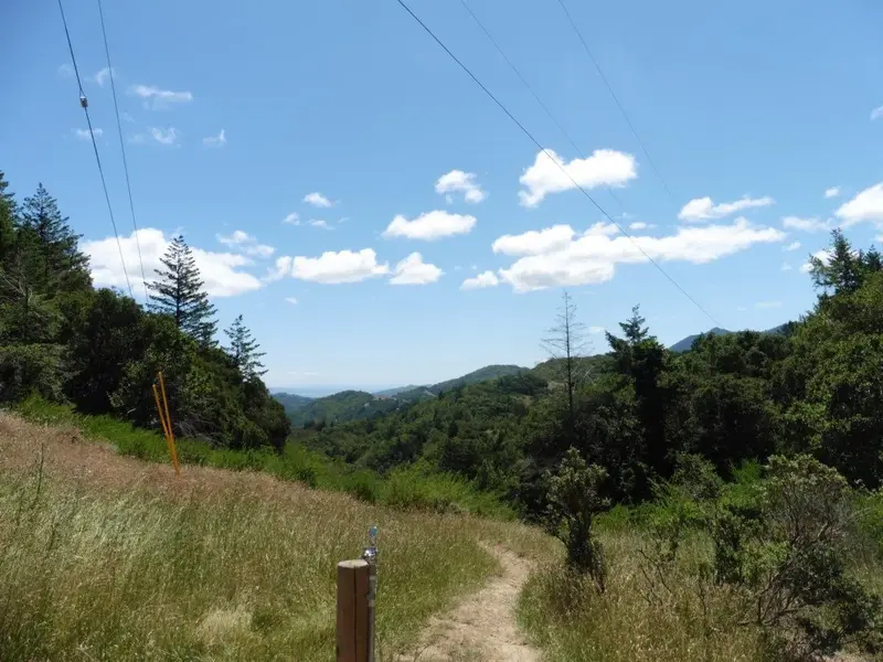 Nice day.webp