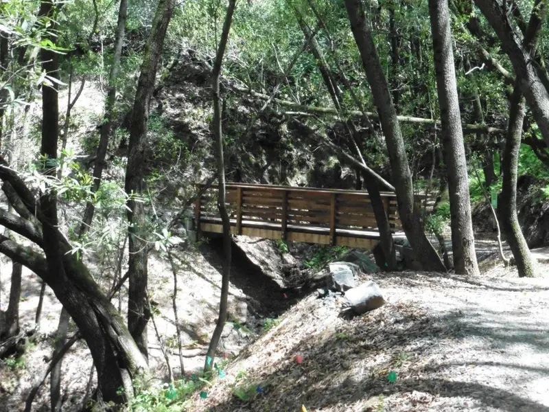 New bridge.webp