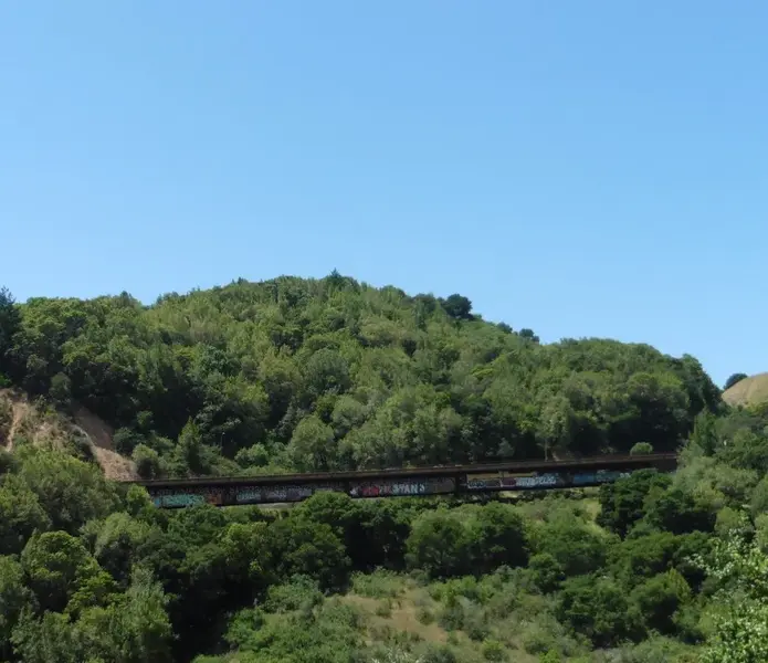 Bridge on White's Hill.webp