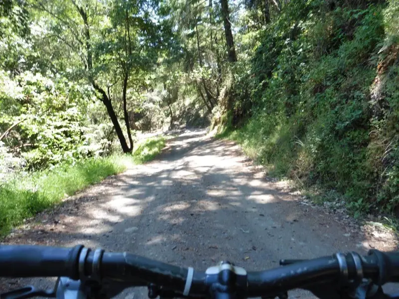 Descending.webp
