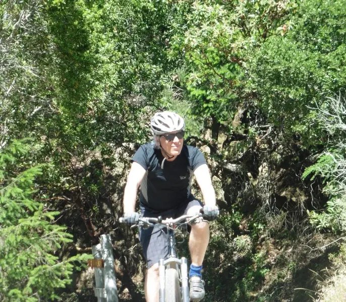 Sunny at the top.webp