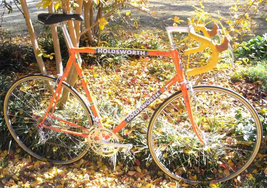 Holdsworth-Sunny-50.webp
