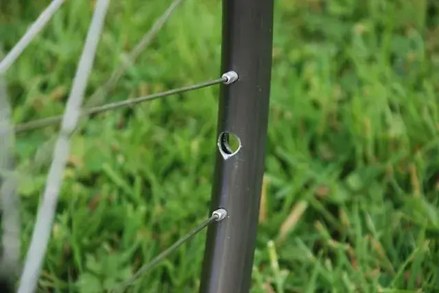 R.Valve1.webp