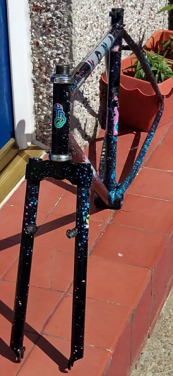 IMAG4381_1.webp