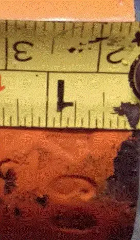 Track 4.webp