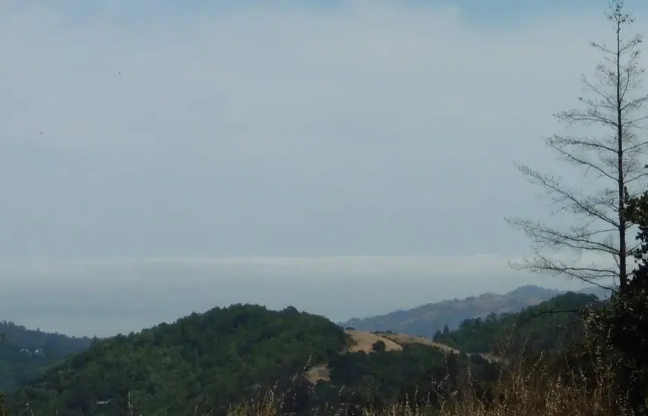 Foggy Bay.webp