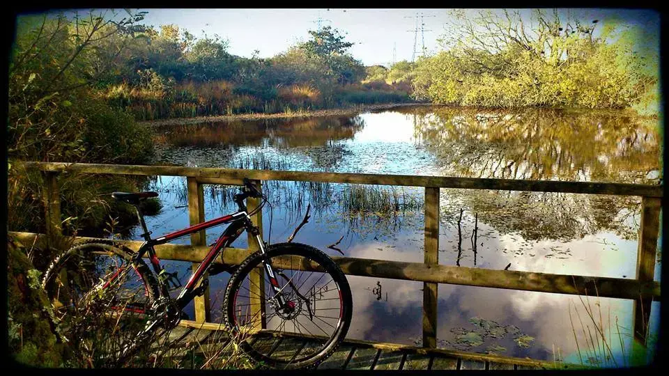 trek.webp