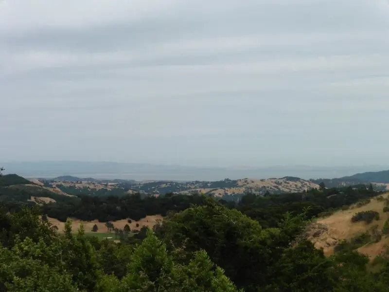 View of the Bay from 1100'.webp