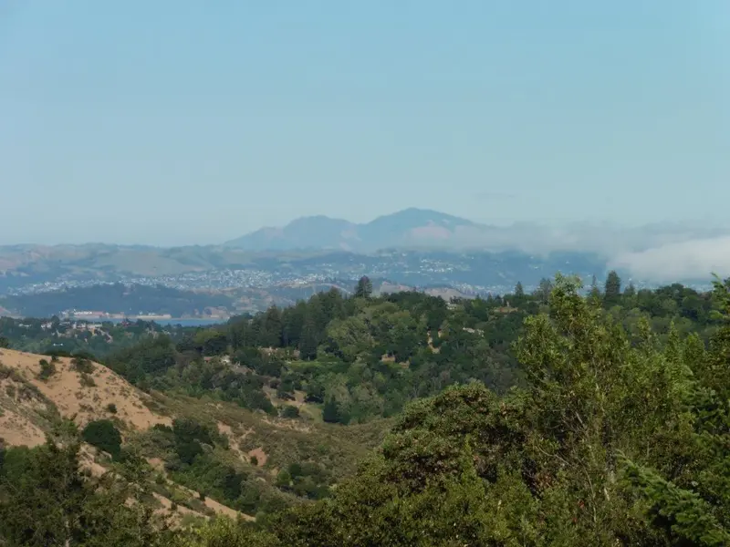 Mt. Diablo.webp