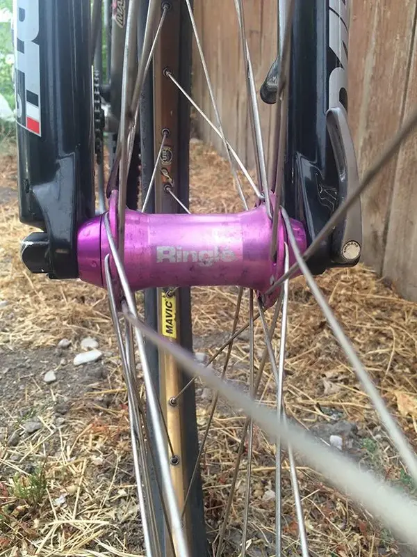 LS Owl Hollow Ringle Hub.webp
