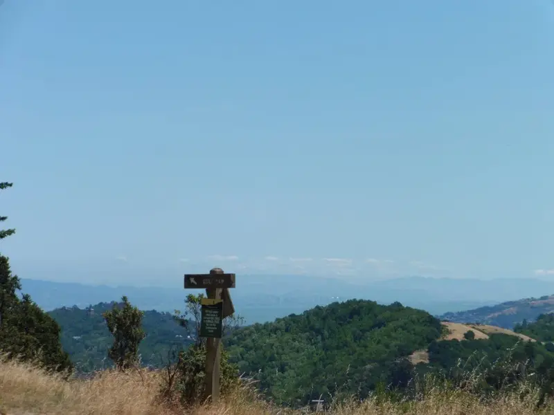 Hazy Bay.webp