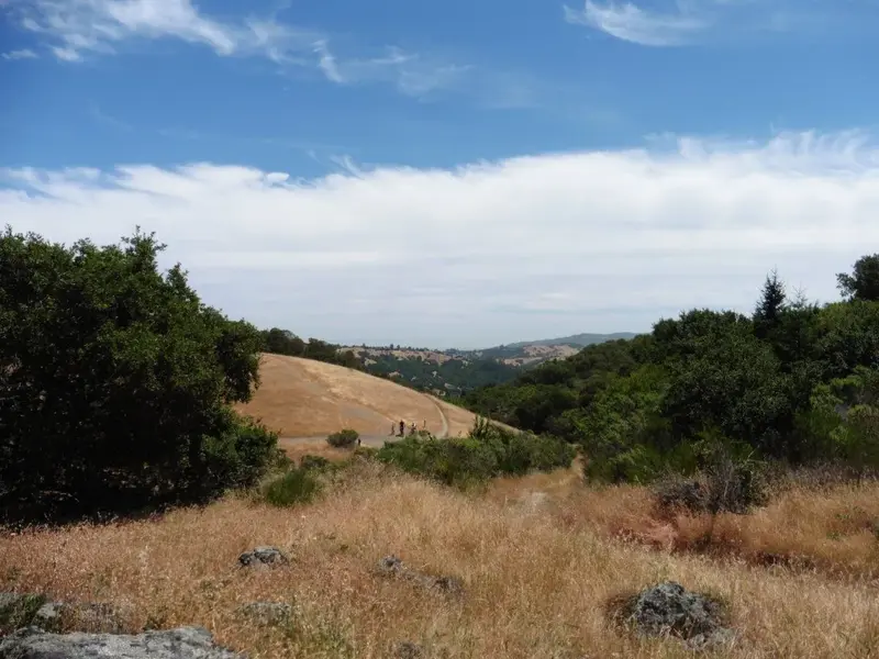Council Rocks view.webp