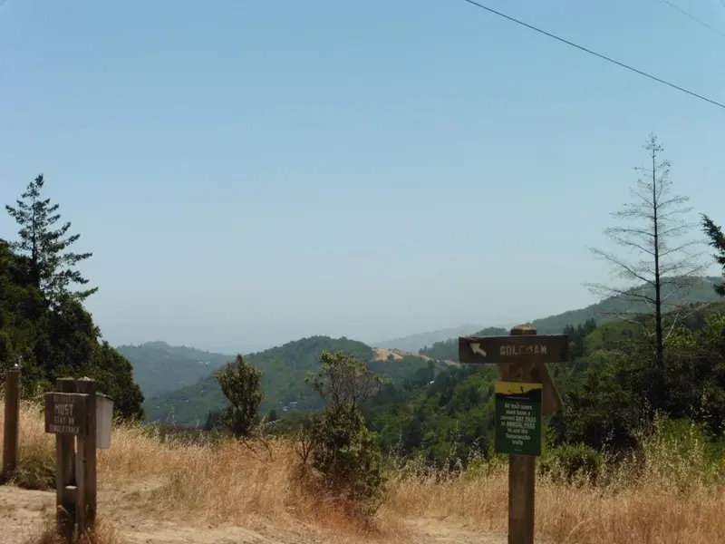 At the top.webp