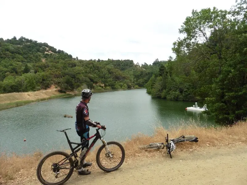 Phoenix Lake.webp