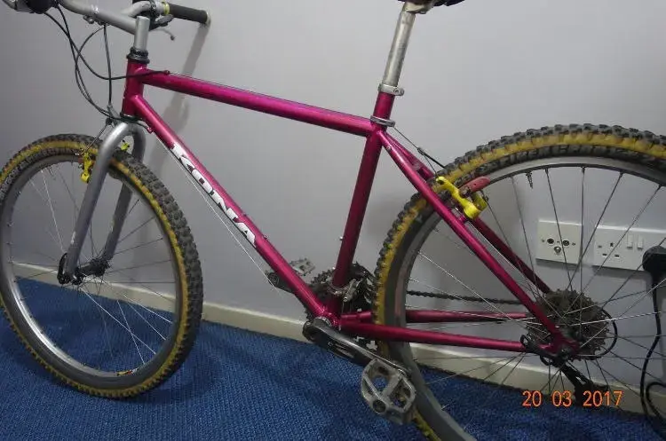 Bikes.webp
