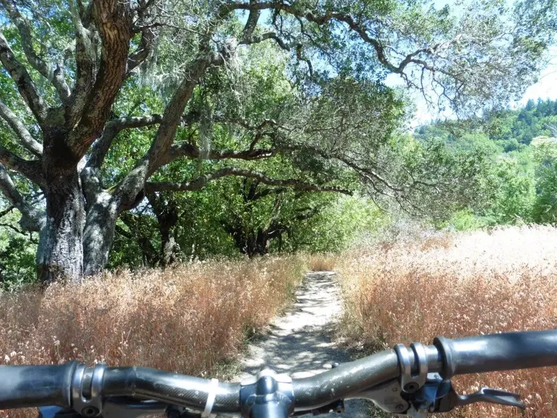 Obscure trail.webp