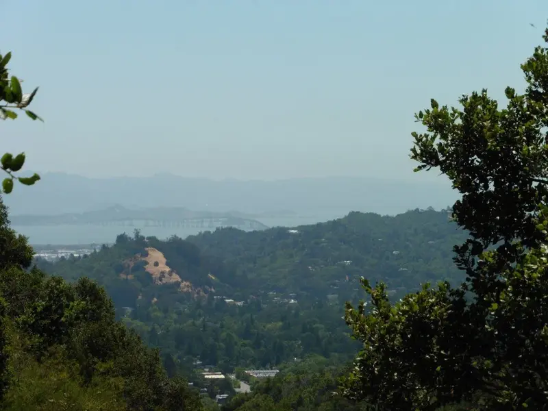SF Bay.webp