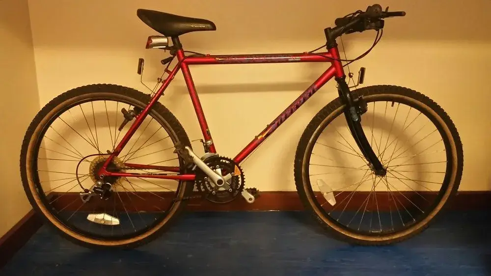 old bike 003.webp