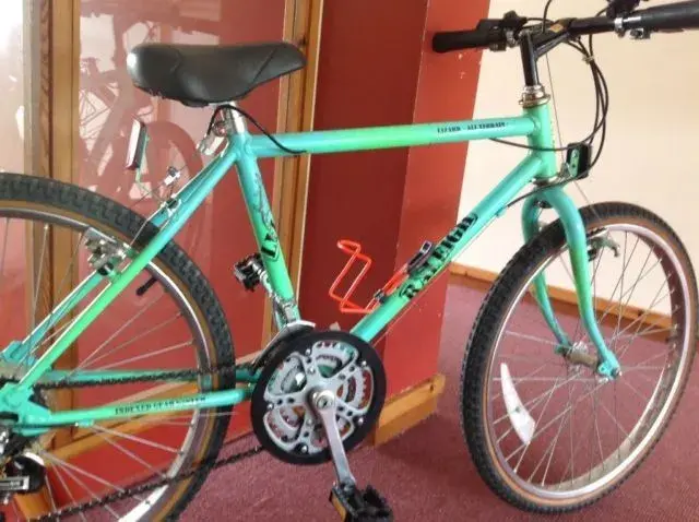 Raleigh lizard mountain bike 2025
