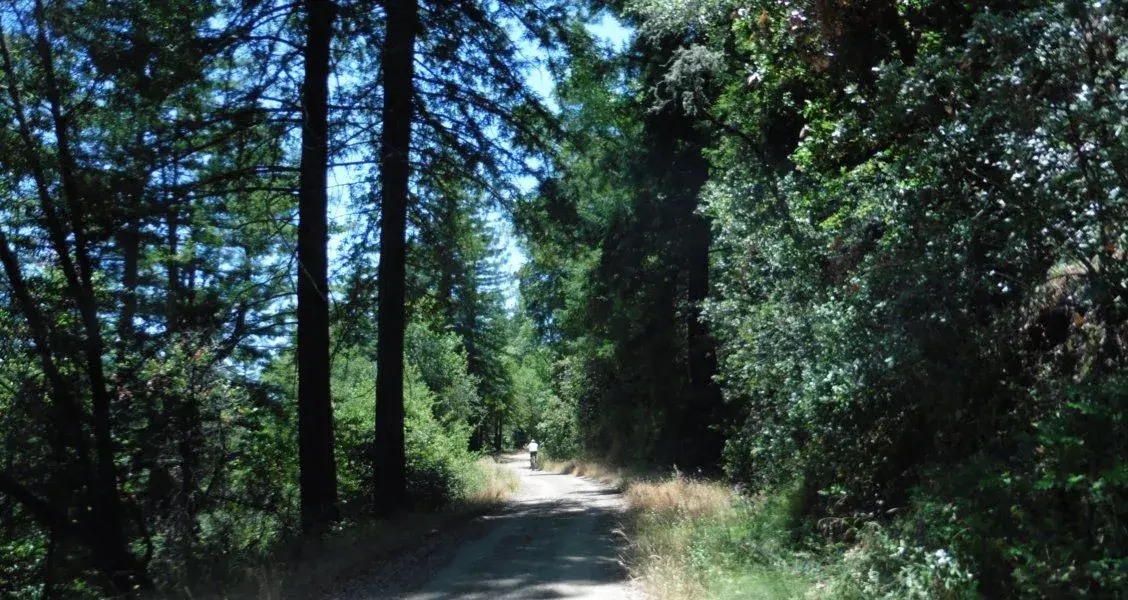 Concrete Pipe fire road.webp