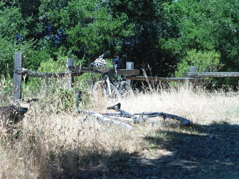 Rest stop.webp