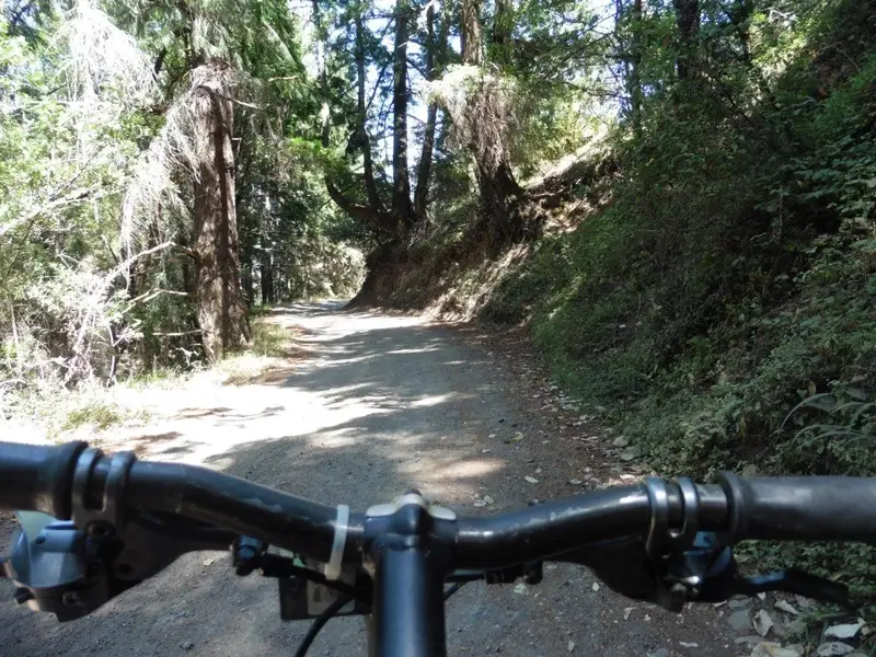 On the descent.webp