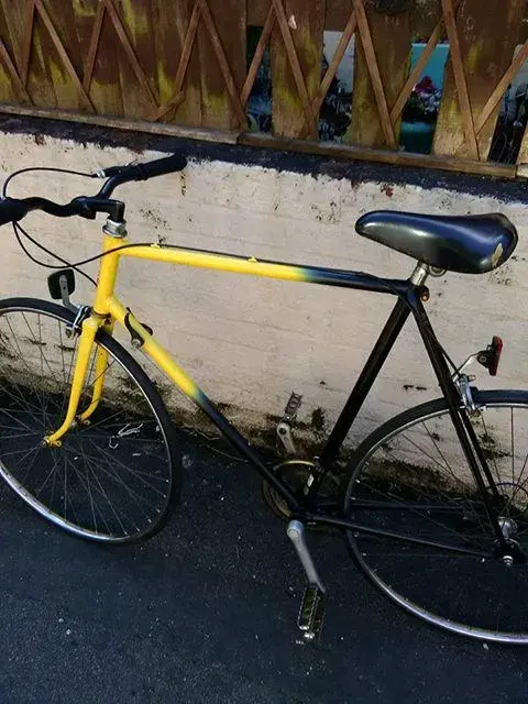 yellowbluebike.webp