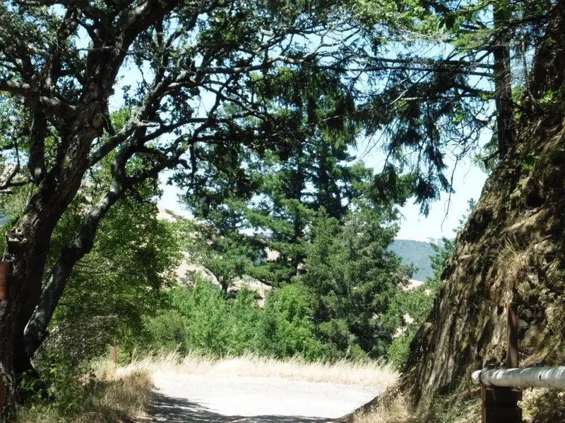 Looking North.webp