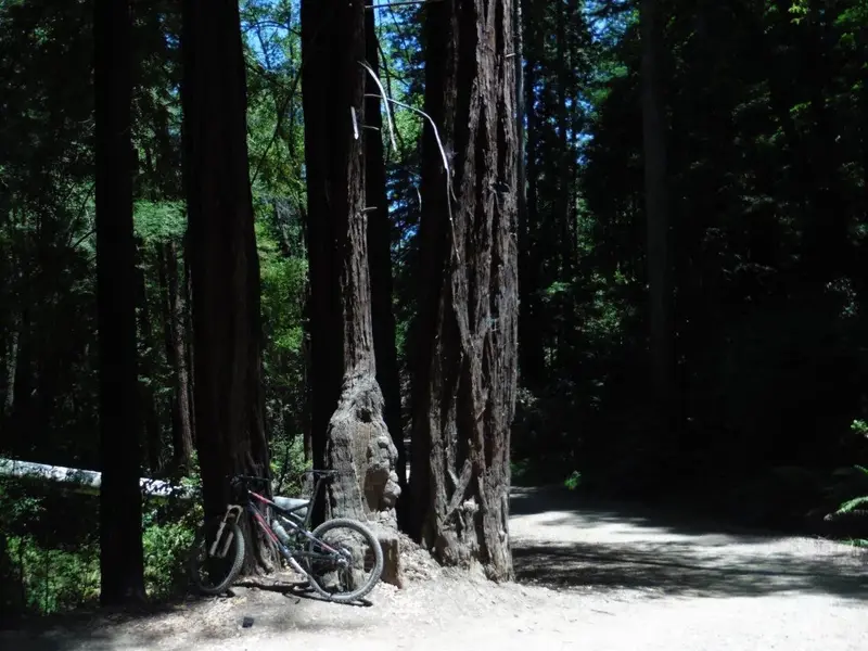 On Shaver Grade.webp