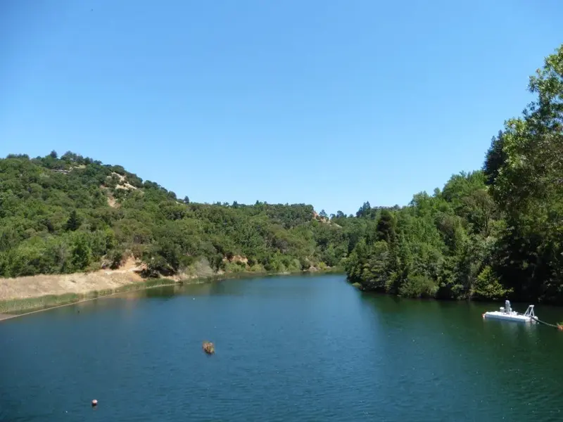 Phoenix Lake.webp