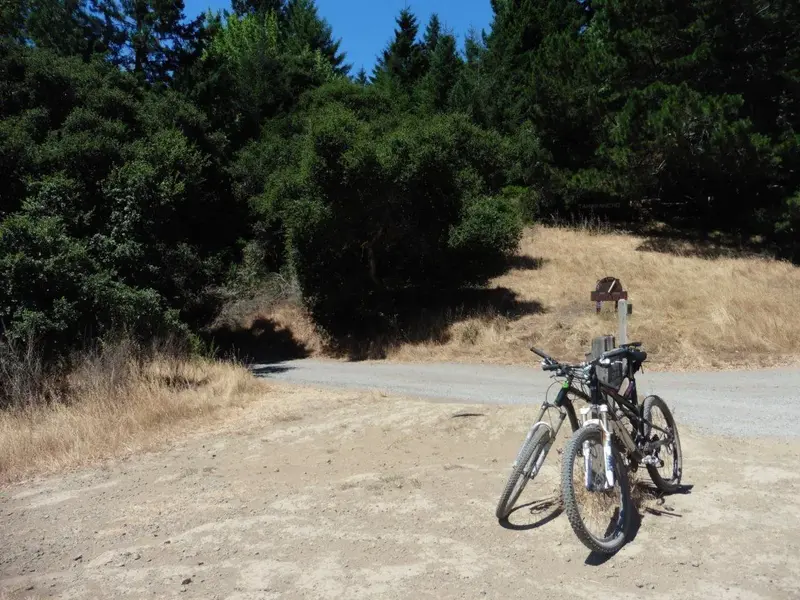 Rest stop.webp