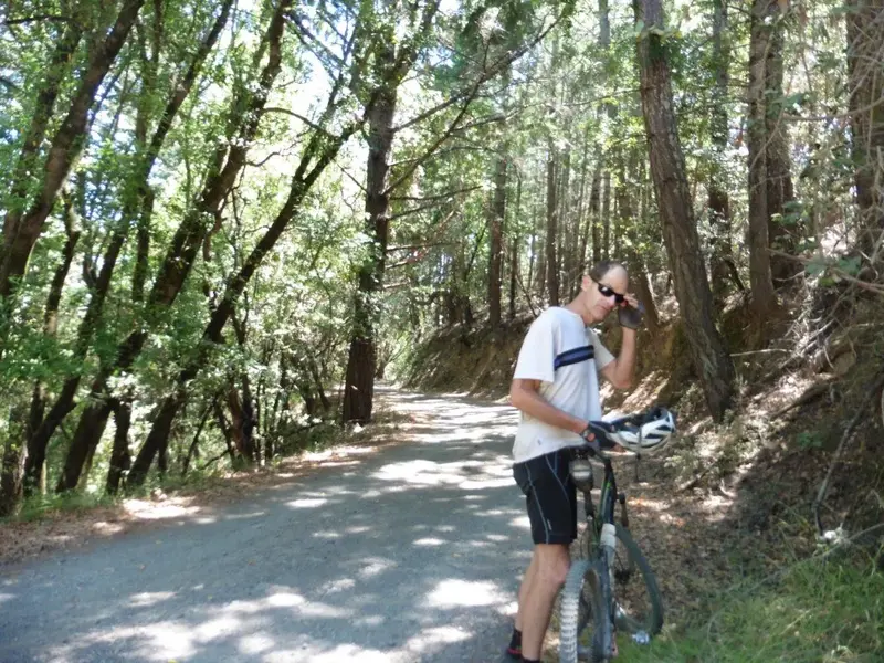 On Iron Springs Road.webp