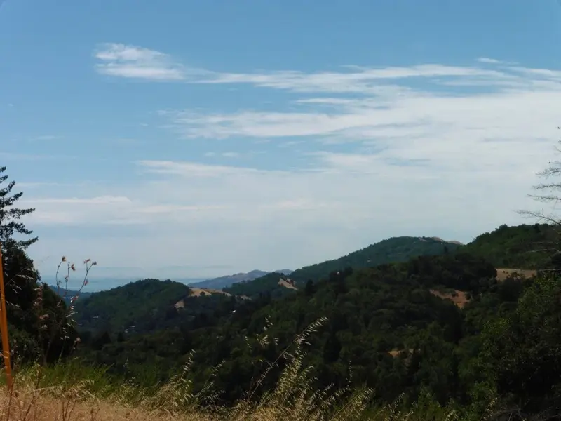 Looking towards the Bay.webp