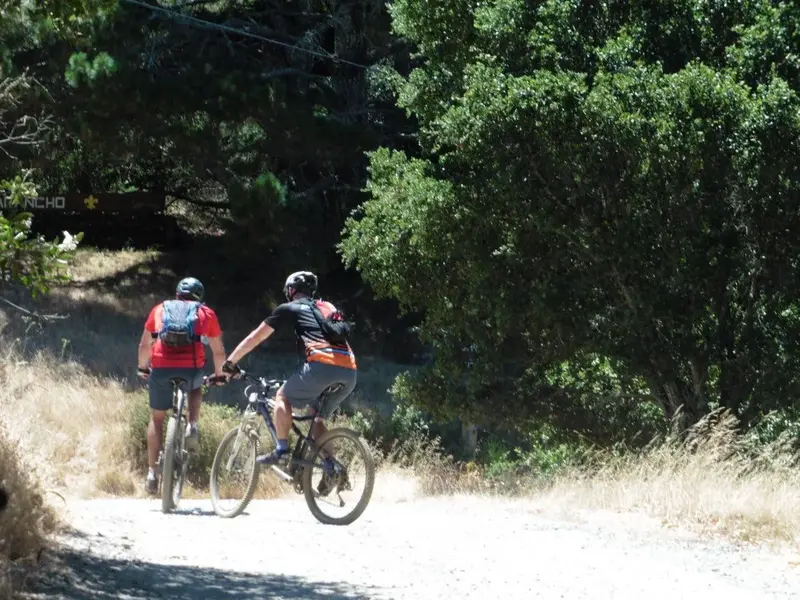 On the ride.webp
