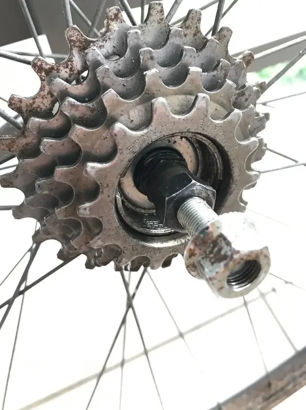 Maillard freewheel snip.webp