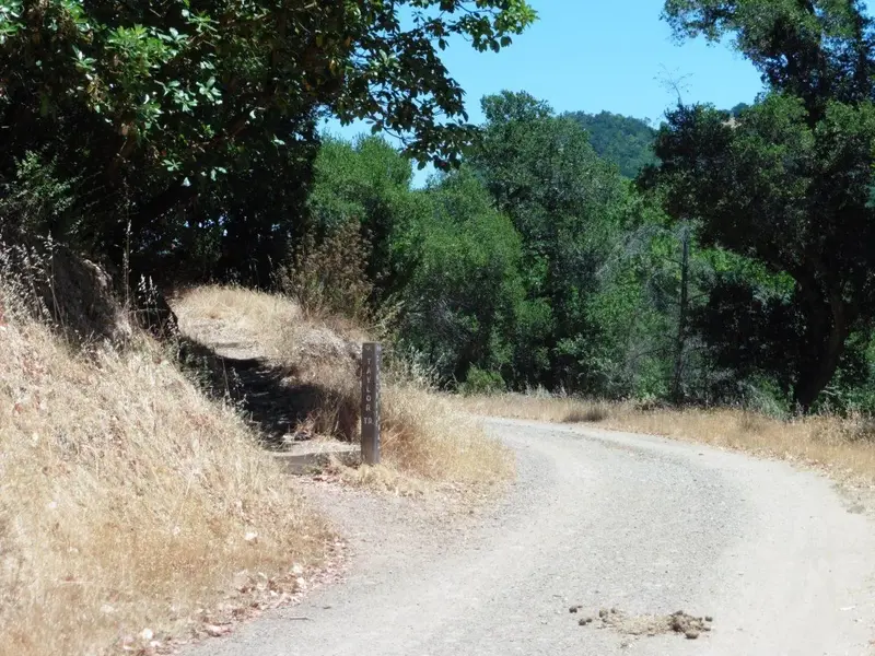 Concret Pipe Fire Road.webp