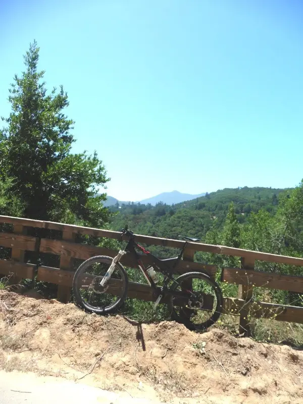 On the climb.webp