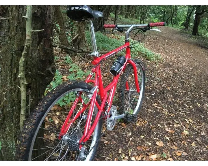 Ride_2.webp