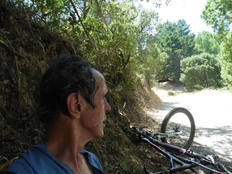 Hot and sweaty at the top.webp