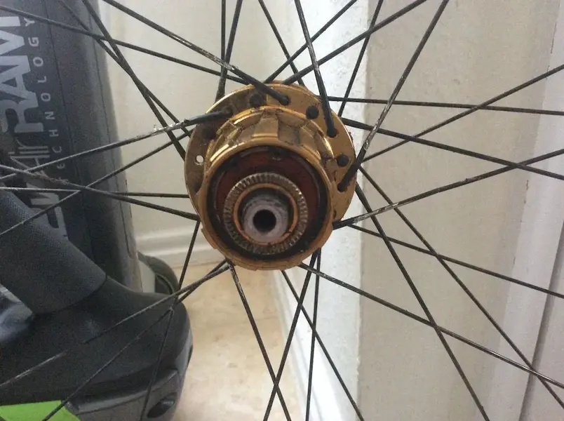 spokes.webp