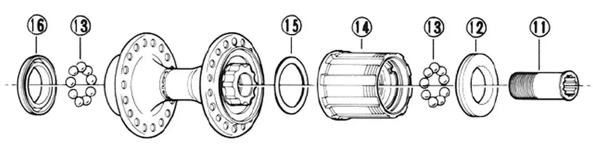 freehub body.webp