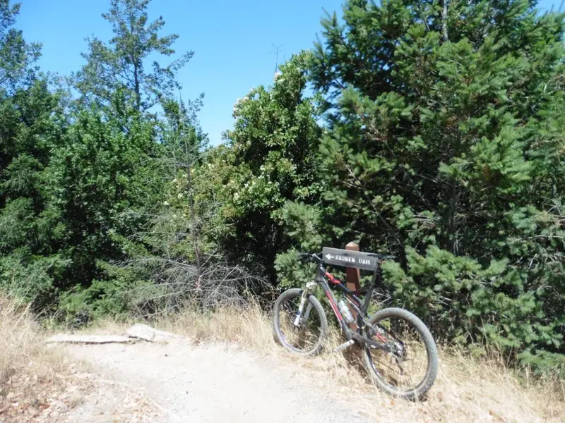 Broken Dam trail.webp