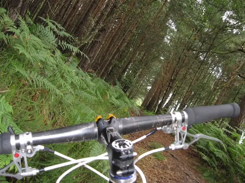 trail 2.webp