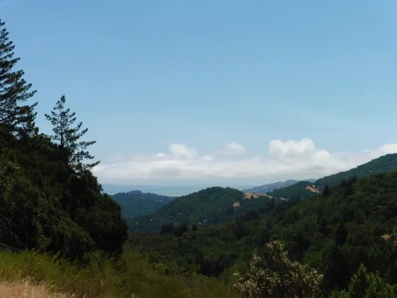 Cooling fog.webp
