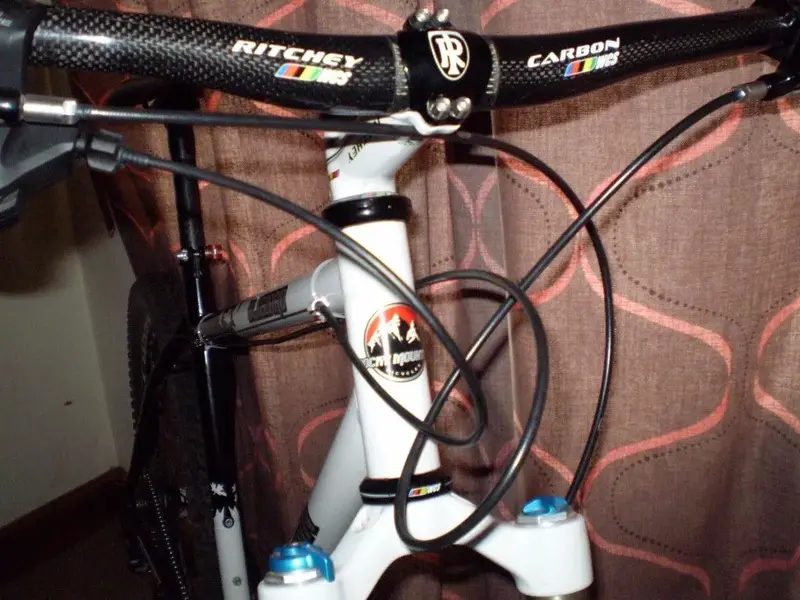 P1010574 (Medium).webp